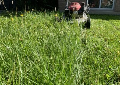 Superior Lawn Care, Lawn Maintenance, and Seasonal Cleanups in Bowmanville, Oshawa, Whitby and Ontario
