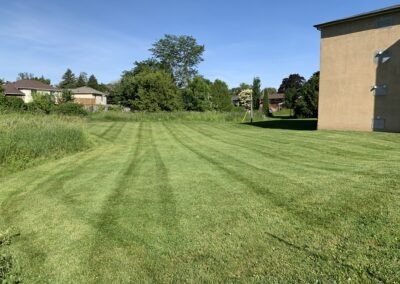 Lawn Care, Lawn Maintenance, and Seasonal Cleanups in Bowmanville, Oshawa, Whitby and Ontario