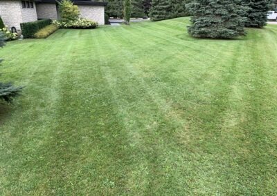 Garden Maintenance, Lawn Care and Landscape Services in Bowmanville, Oshawa, and Whitby, Ontario
