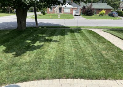 Lawn Care Services in Bowmanville, Oshawa, and Whitby, Ontario