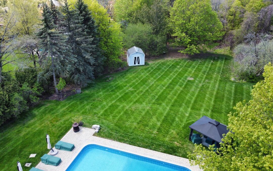 Get Enlightened About Your Lawn Maintenance!